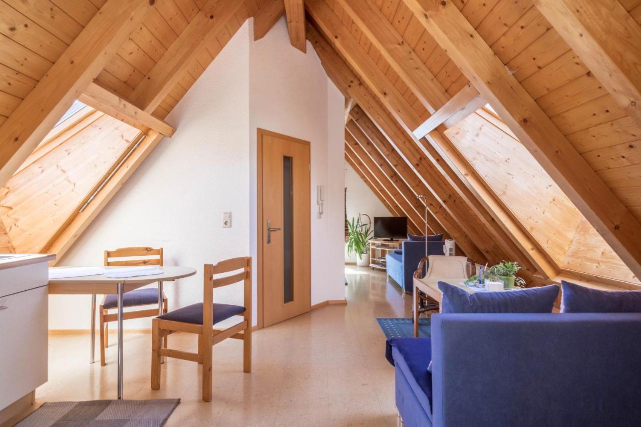 Haus Sonnenschein Apartment Eriskirch Bagian luar foto